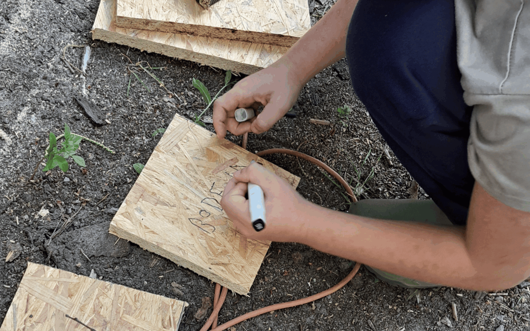 Project Based Learning en leerdoelstellingen behalen