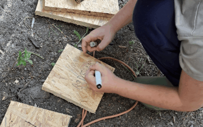 Project Based Learning en leerdoelstellingen behalen